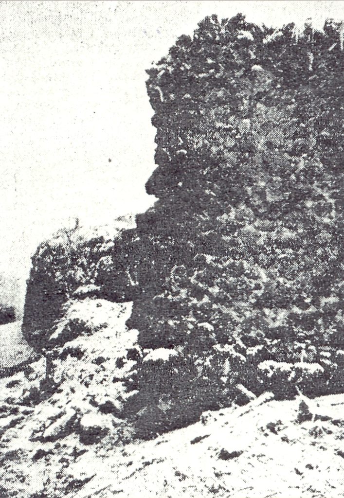 Lfdnr_1142