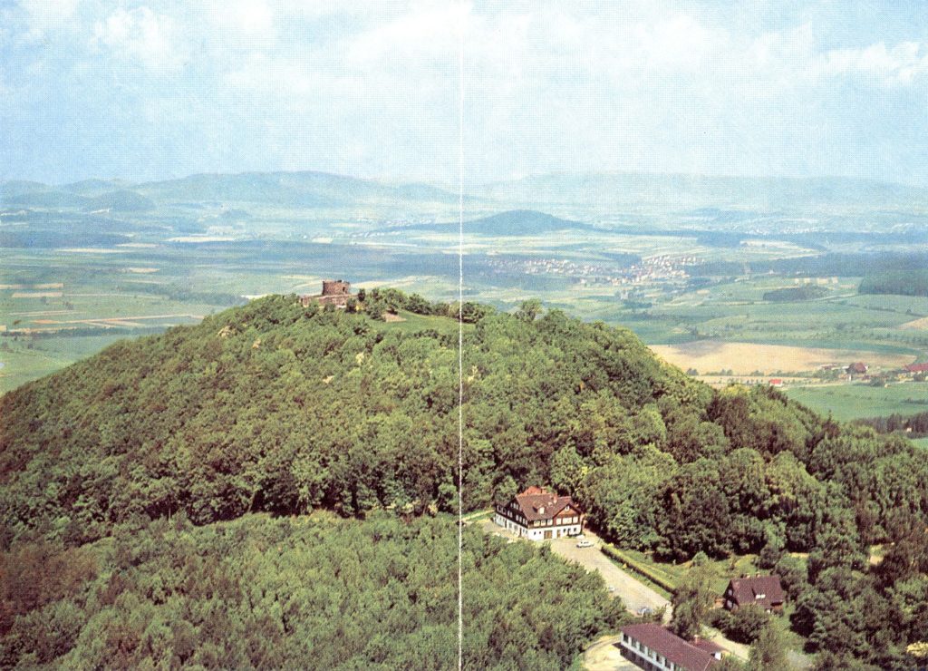Lfdnr_446